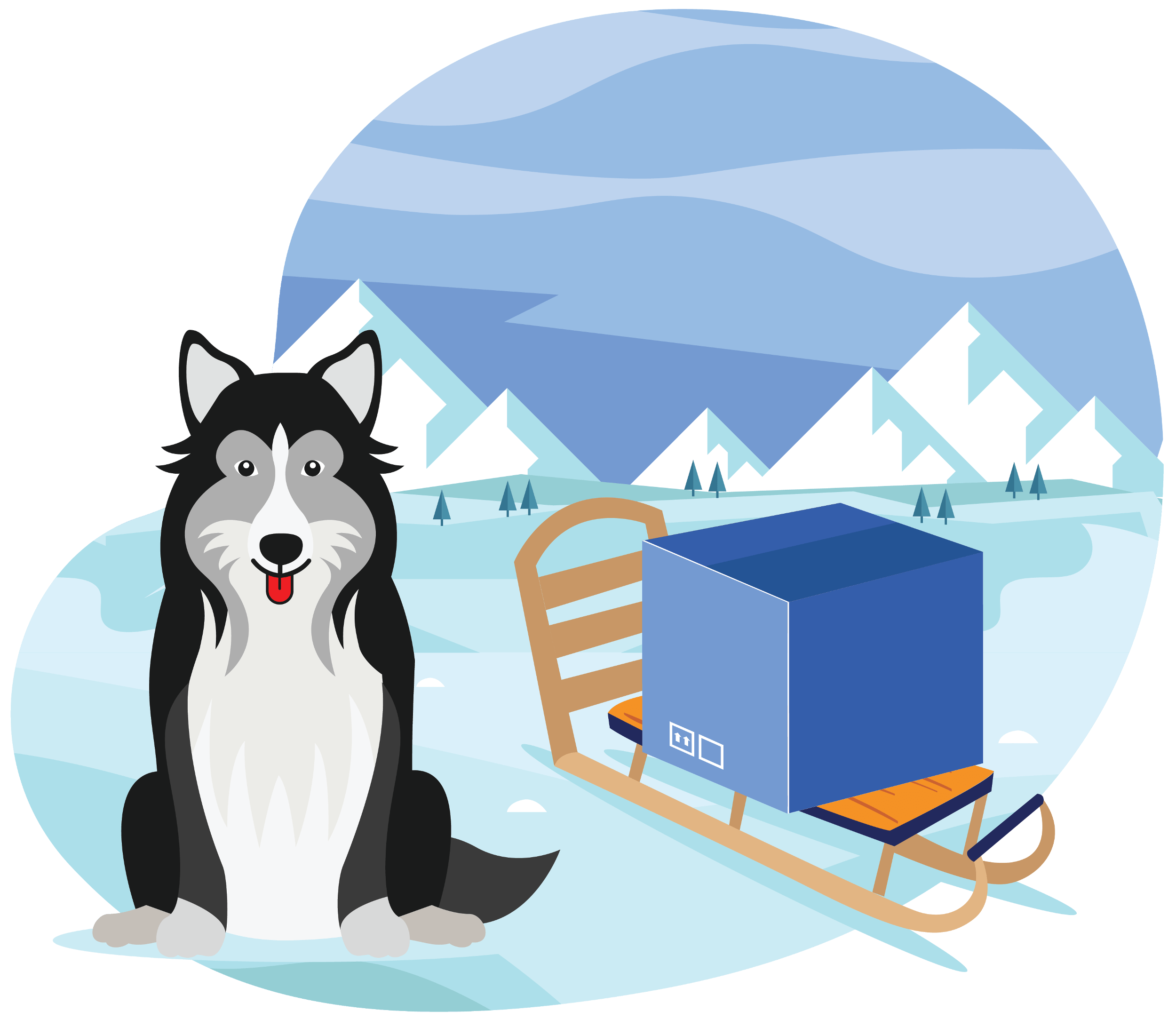 Dog with a sled carrying a box